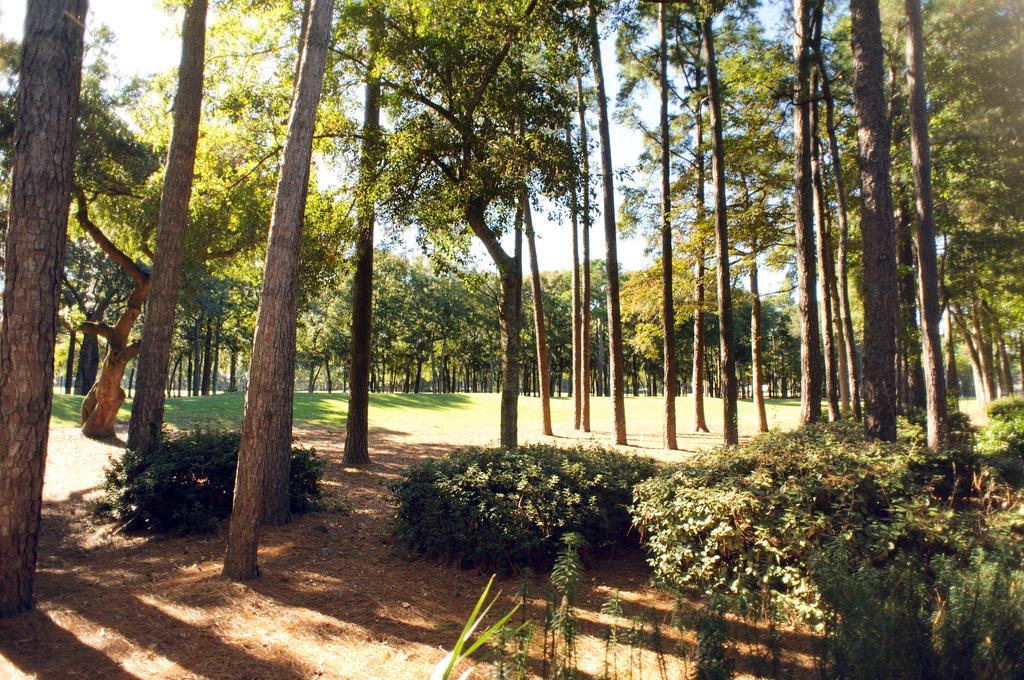 Pawleys Plantation Golf & Country Club Hotel Pawleys Island Ngoại thất bức ảnh